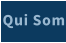 Qui Som